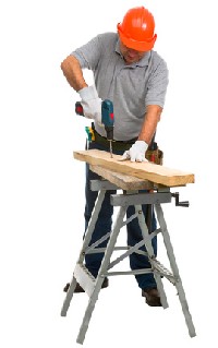 carpintero torrevieja